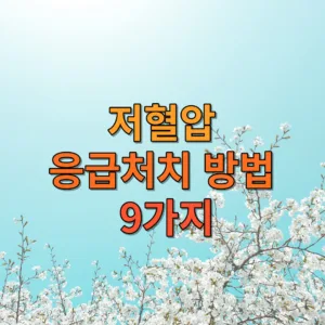 저혈압 응급처치 방법 9가지