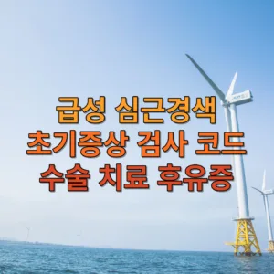 급성 심근경색 초기증상 검사 코드 수술 치료 후유증 정리